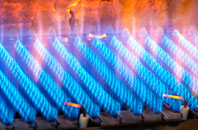 Brockham Park gas fired boilers